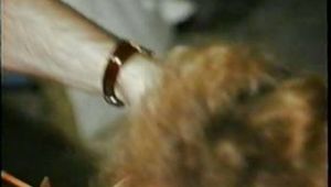 31 Yr OLD SEXY SUSIE IS BASEMENT BOUND & GAGGED (D49-2)