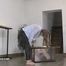 Bonnie Dolce's toilet slave Long