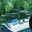 THE NEIGHBOUR