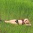 Soraya in dessous outdoor 1/2
