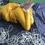 Archive girl tied and gagged on bed wearing a shiny yellow rainwear (Video)