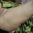 Anal gefickt, Cumshot in den Mund