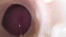 CUCKOLD WITHOUT INHIBITORS