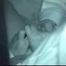 HIDDEN CAM AND FUCKING COUPLES