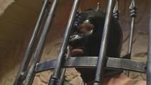 Casting slaves with Lolla Lux - Part 02 He is to late.. oh oh...