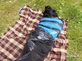 [From archive] Stella - captured at picnic (2)