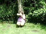 On a tree 1/3