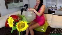 sexy busty Blow2Pop transparent Belbal 14"