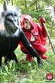 Little Red riding hood - Rotkäppchen und der böse Latexwolf