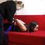 Isi´s erster Hogtie