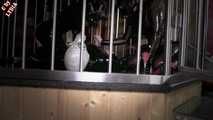 MAKING OF LATEX ZEITLOSE LUST