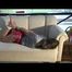 03:45 Min. video with Katharina tied and gagged in shiny red nylon shorts