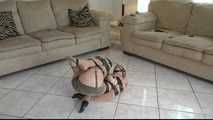 The Florida Files - Pantyhose Encasement and lots of Tape for Muriel