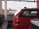 016114 Eve Needs To Pee Before Leaving The Carpark