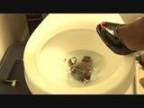 Toilet flushing chocolate cake logs 