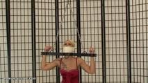 Pillory part 1