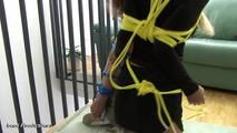 Colored ropes part 2