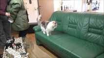 Marenka - Home Assault Part 4 of 6