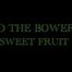 INTO THE BOWER | v1 Sweet Fruit