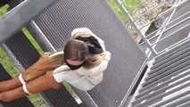 Stella roped hard on stairs 2/2