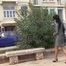 016186 Eve Has To Pee On The Foreshore  After Finding  All The Toilets Are Closed