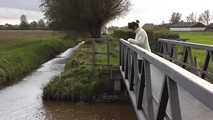 112007 Anna R Pees Off The Bridge Into The Canal