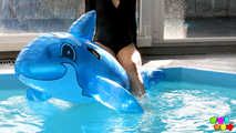 721 A little bit fun with a dolphin