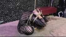 Minuit - Tied to a Package in public