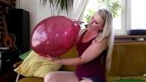 Blow2Pop burgundy Belbal 14"