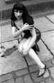 Dark Delight