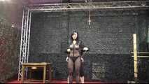 Insex Crew vs. BoundCon Models
