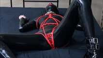 Gummipuppe wird gefickt!