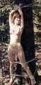 Bondage Classics 60