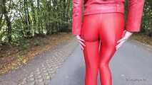 Horny red on the highway
