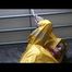 Pia tied and gagged in an yellow rainsuit on bed (Video)