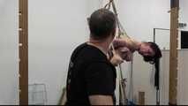 Public Suspension Demo for Azooka