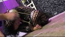 Minuit - Tied to a Package in public