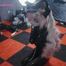 Xiaomeng Latex Kitty Breathplay