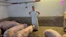 Clip #023 Which pig should it be? #Stall #Apron #Butcher