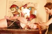 Table top hogtie