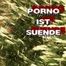 PORN IS SIN