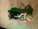 5 Minutes Hogtie Challenge for Lena King