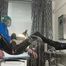 Anal stretching for my new patient on the gynecological chair . He has the choice