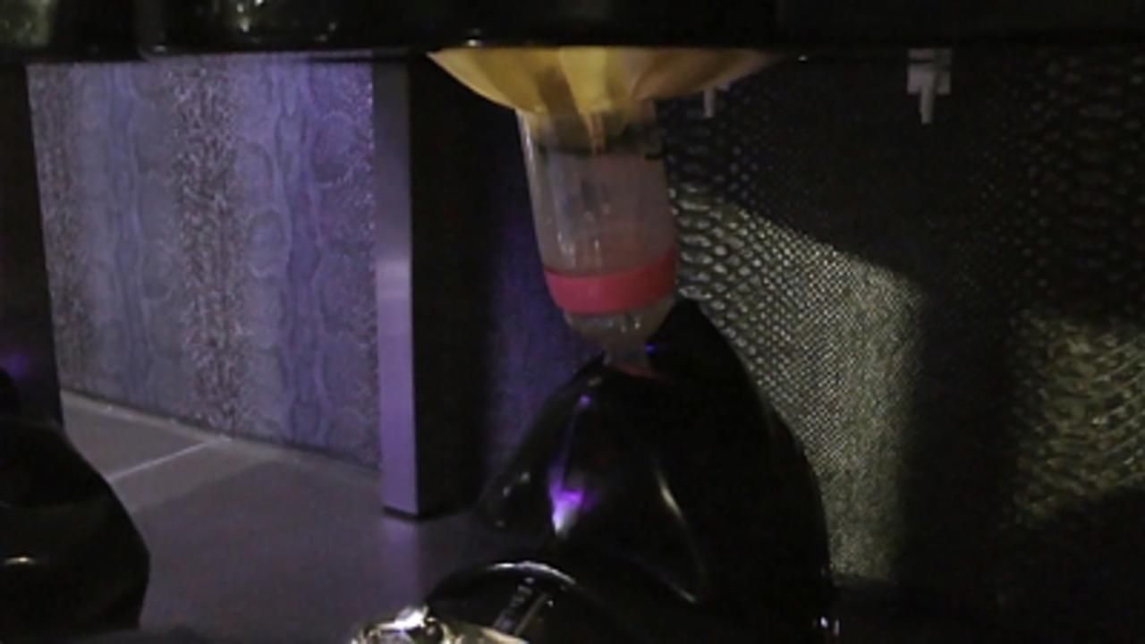 Lady Letizia - Die Studio Toilette 