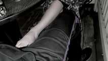 CUCKOLD CARIBIC VACATATION
