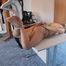 Nora - Nylons, Strapado and Fur