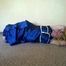 Tied in blue 2
