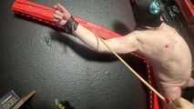 How resilient are your nipples, slave?
