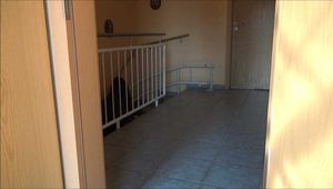 Romy und Zora - Die Nachfolgerin Teil 3 von 8