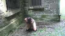 Ayu roped Outdoor 2/2